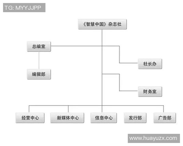 赖斯的外交智慧与全球战略影响力分析与展望